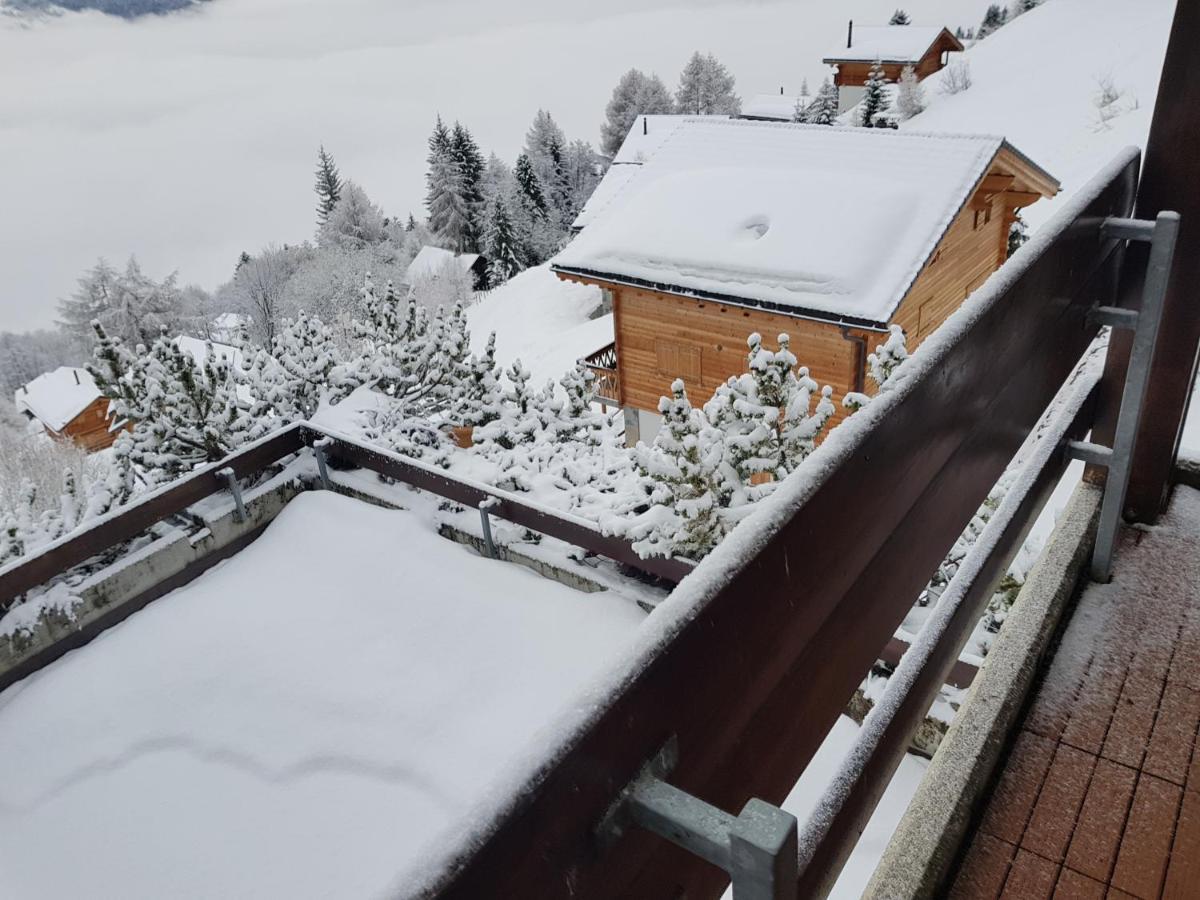Les Collons1800- Bel Appart 2Pieces-4 Pers-Piscine-Sauna-Parking Int-Wifi Gratuit Vex Exterior photo